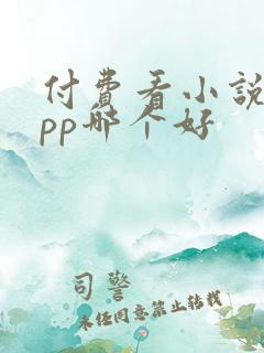 付费看小说的app哪个好