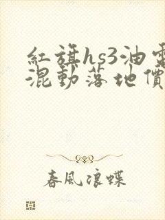 红旗hs3油电混动落地价多少