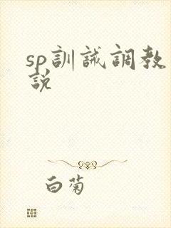 sp训诫调教小说