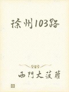 徐州103路