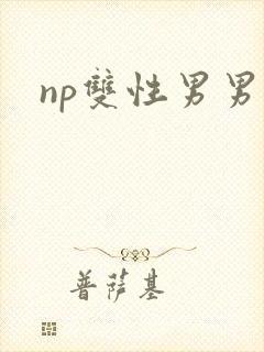 np双性男男h