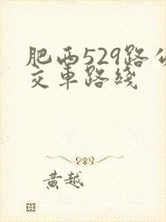 肥西529路公交车路线