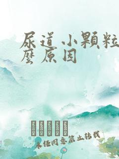 尿道小颗粒是什么原因