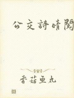 公交诗晴阅读