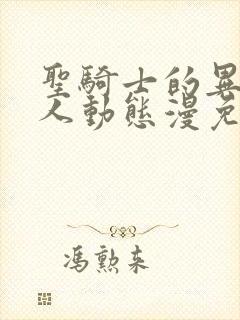 圣骑士的异世恋人动态漫免费在线热播