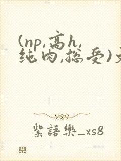 (np,高h,纯肉,总受)文