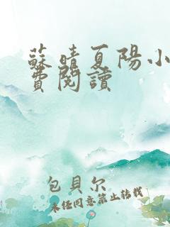 苏晴夏阳小说免费阅读