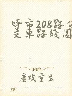 呼市208路公交车路线图