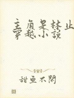 主角是林止陌的穿越小说