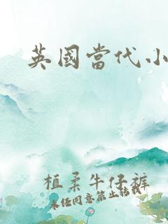 英国当代小说家