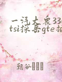 一汽大众330tsi探岳gte插电混动