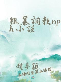 粗暴调教np高h小说 粗暴调教np高h小说