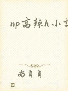 np高辣h小说