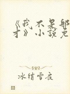 《我不是那种人才》小说免费阅读