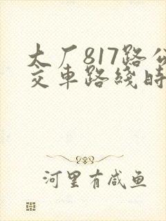 大厂817路公交车路线时间表