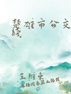 楚雄市公交车路线 楚雄市公交车路线