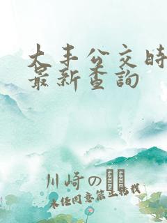 大丰公交时刻表最新查询