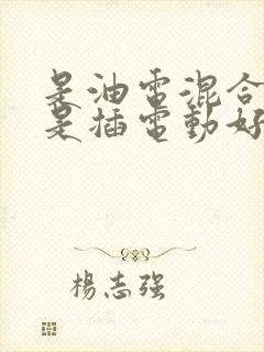 是油电混合好还是插电动好