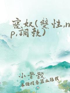寝奴(双性,np,调教)