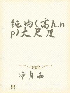 纯肉(高h.np)大尺度 纯肉(高h.np)大尺度