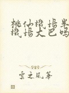 桃仙机场半夜有机场大巴吗