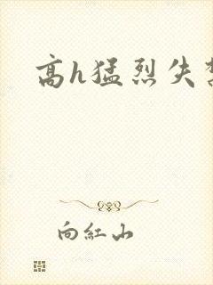 高h猛烈失禁