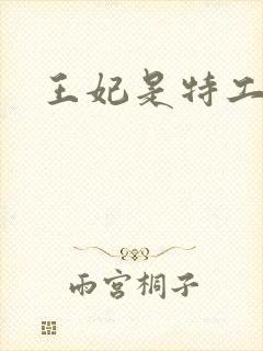 王妃是特工 王妃是特工