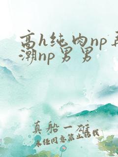 高h纯肉np弄潮np男男