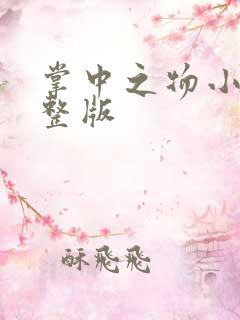 掌中之物小说完整版