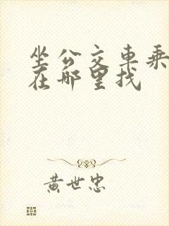 坐公交车乘车码在哪里找