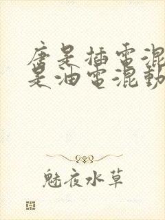 唐是插电混动还是油电混动