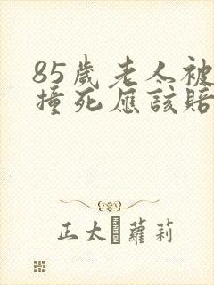 85岁老人被车撞死应该赔偿多少