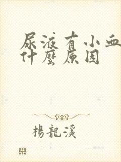 尿液有小血块是什么原因