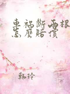 车祸断两根肋骨怎么赔偿