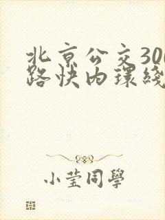 北京公交300路快内环线路图