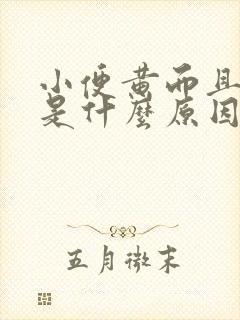 小便黄而且浑浊是什么原因引起的
