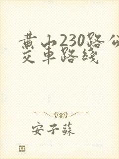 黄山230路公交车路线