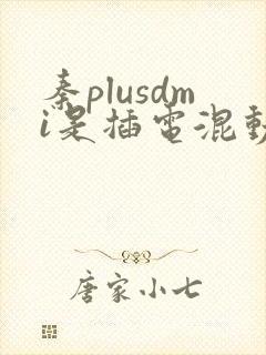 秦plusdmi是插电混动还是油电混动