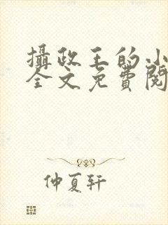 摄政王的小王妃全文免费阅读