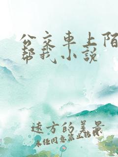 公交车上陌生人帮我小说