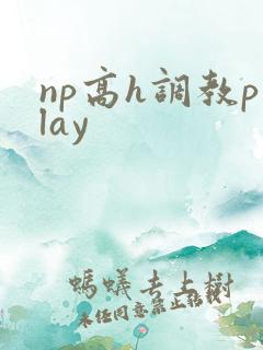 np高h调教play