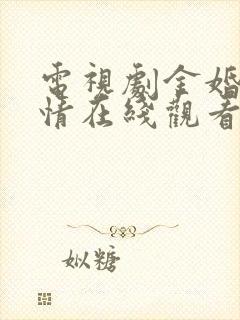 电视剧金婚风雨情在线观看