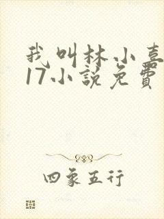我叫林小喜今年17小说免费看