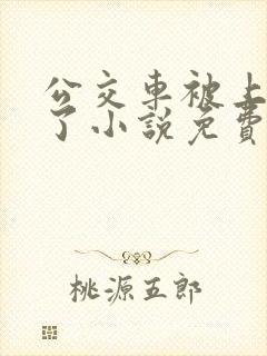 公交车被上高潮了小说免费阅读