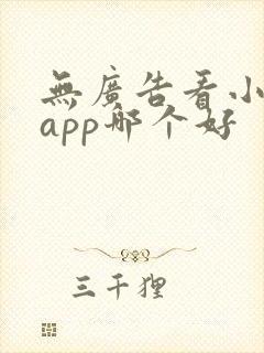 无广告看小说的app哪个好 无广告看小说的app哪个好