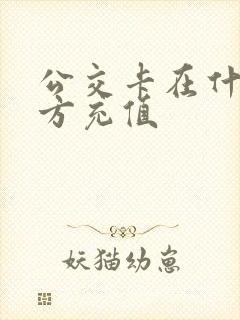 公交卡在什么地方充值