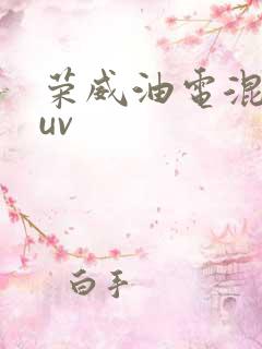 荣威油电混合suv