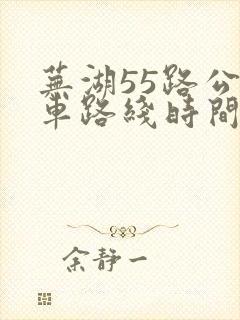 芜湖55路公交车路线时间表