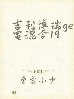 吉利博瑞ge油电混合19
