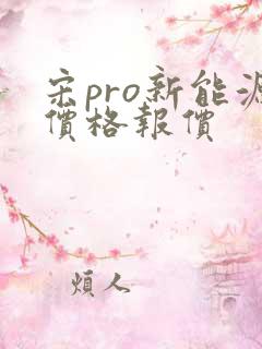 宋pro新能源价格报价